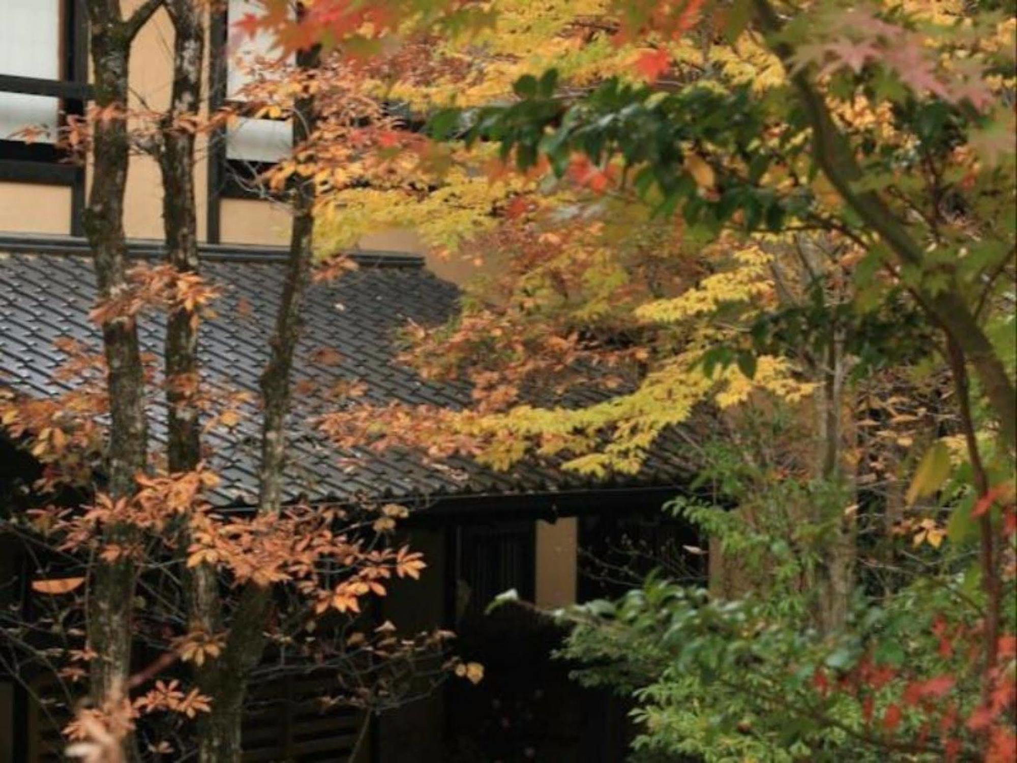 Ryokan Wakaba Минамиогуни Экстерьер фото